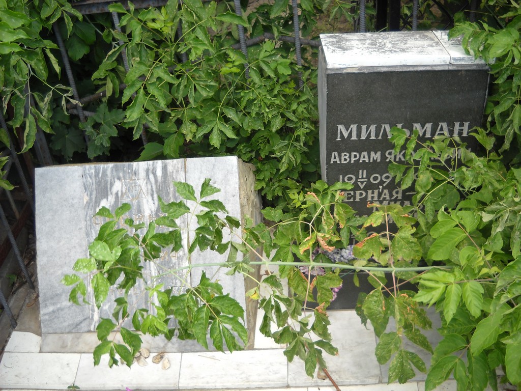 Мильман Аврам Яковлевич, Саратов, Еврейское кладбище